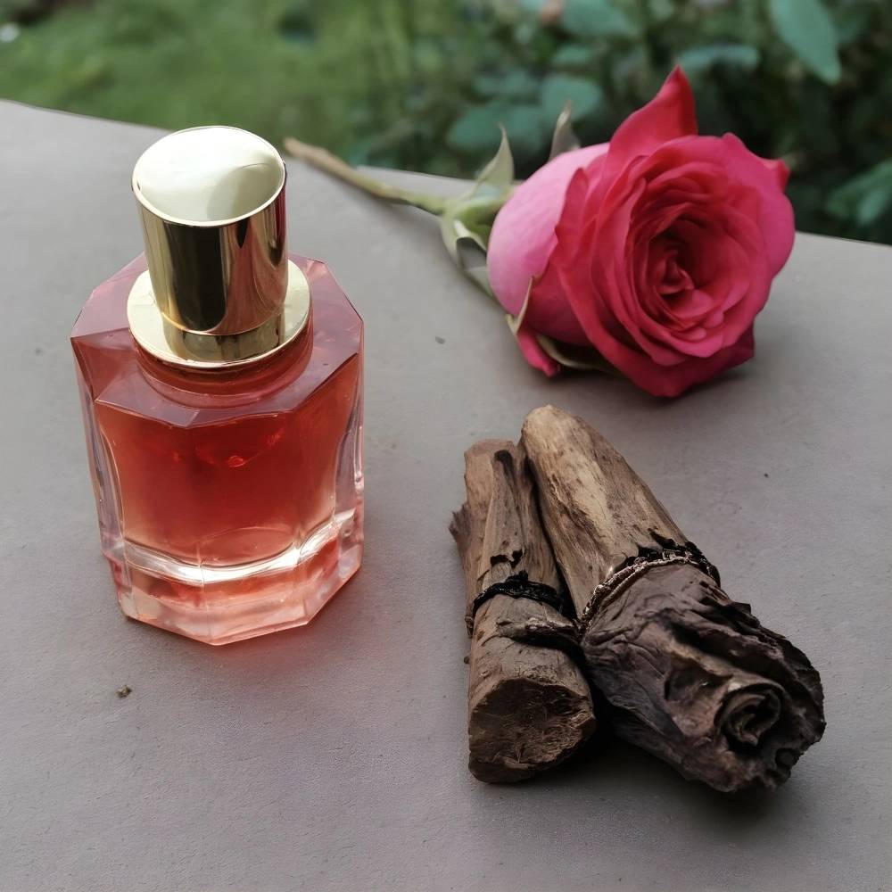 Oudh Rose